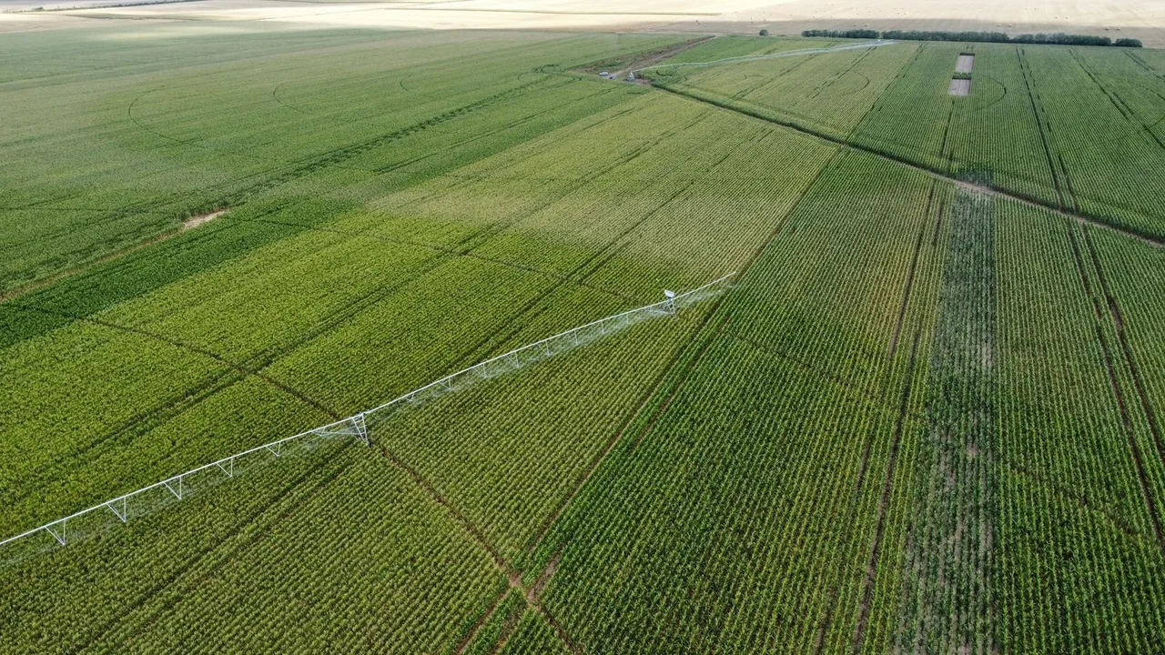 Kreisberegnungsanlage im Einsatz auf einem Maisfeld beim Projekt Racovița